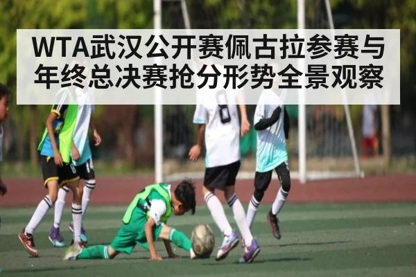 WTA武汉公开赛佩古拉参赛与年终总决赛抢分形势全景观察（kaiyun）